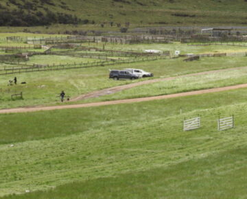 Mount Linton Dog Trial Club Trial 2024